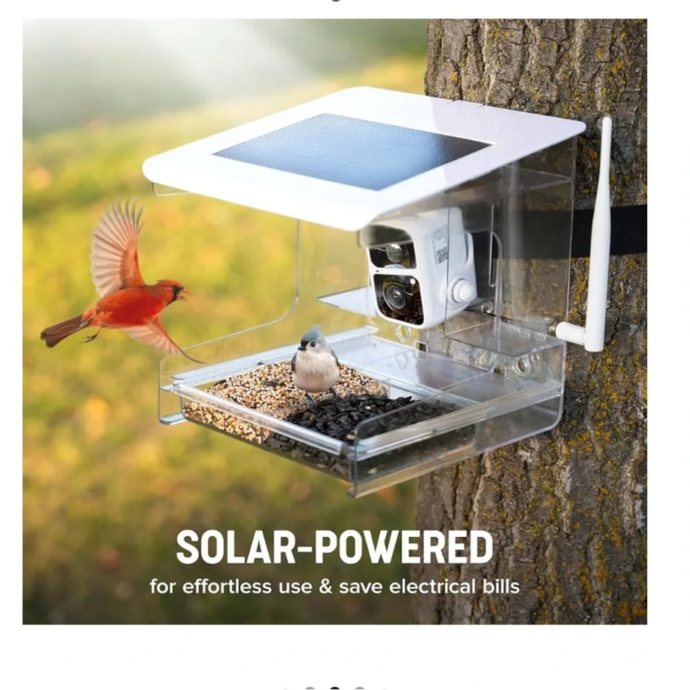 Smart Bird Feeder with Camera - White